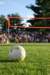 waupacaboatride_1486774_2964_small.jpg