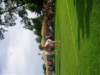 waupacaboatridep1010095_small.jpg