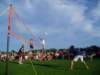 waupacaboatridep1010119_small.jpg