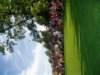 waupacaboatridep1010131_small.jpg