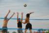 dsc_1461_small.jpg
